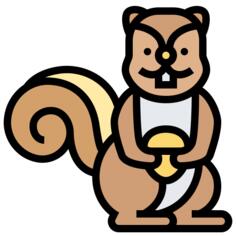 松鼠