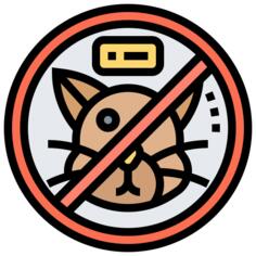No pets allowed