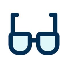 Eyeglasses