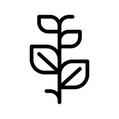 烟草