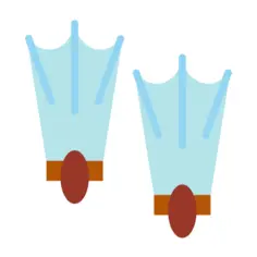 Flippers