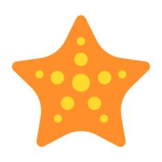 海星