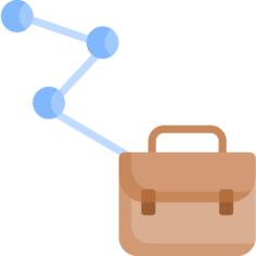 Career path
