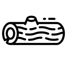 记录