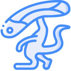 外星人