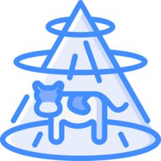 绑架