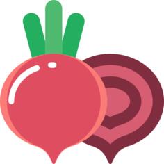 甜菜