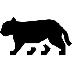 豹