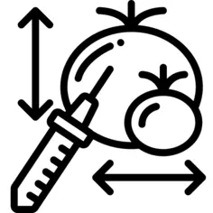 转基因食品