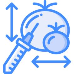 转基因食品