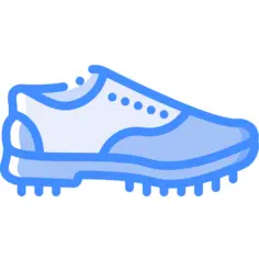Shoe
