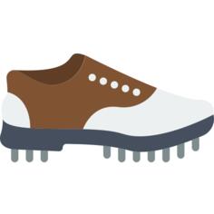 Shoe