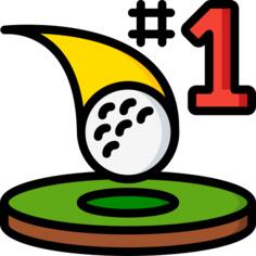 Hole in one