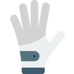 Glove