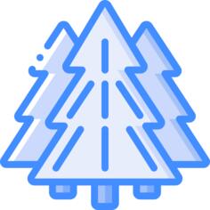 Trees