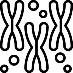 Chromosomes