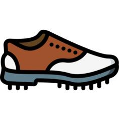 Shoe