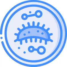 菌