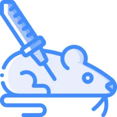Rat