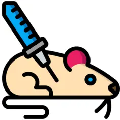 Rat