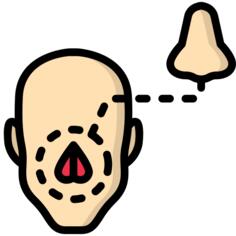 鼻子