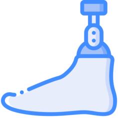 Foot