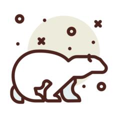 Polar bear
