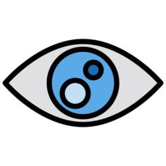 眼睛