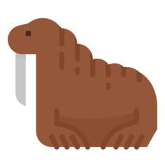 Walrus