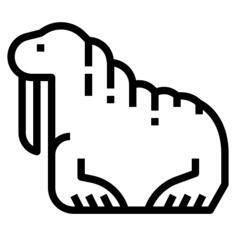 Walrus