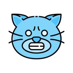 猫