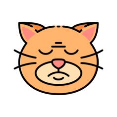 猫