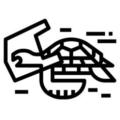 龟