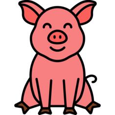 Pig
