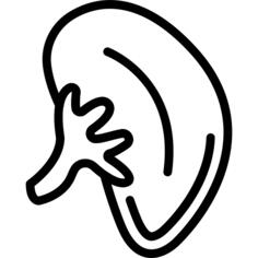 肾