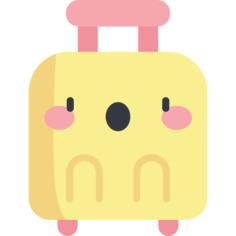 Baggage