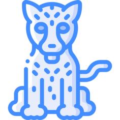 猎豹