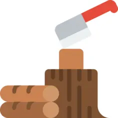 记录