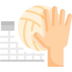 Volleyball