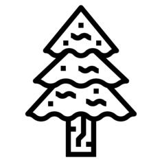 Spruce