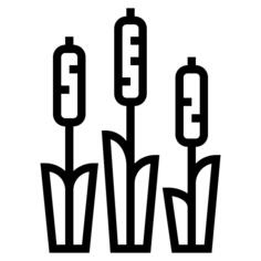 Cattail