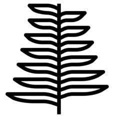 Fern