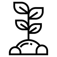 Sprout