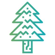 Pine