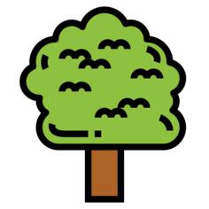 Linden