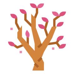Magnolia