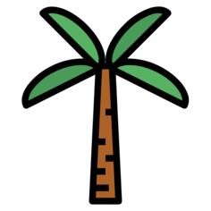 Palm tree