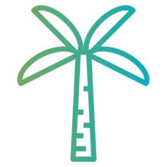 Palm tree