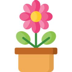 花盆