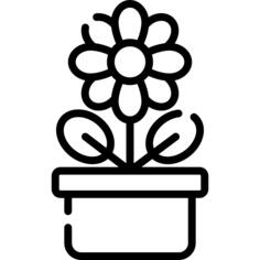 花盆